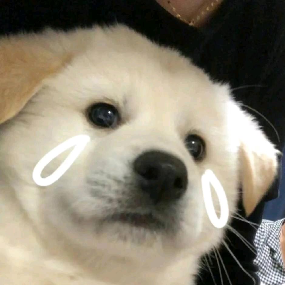 倾心.ys👁️‍🗨️