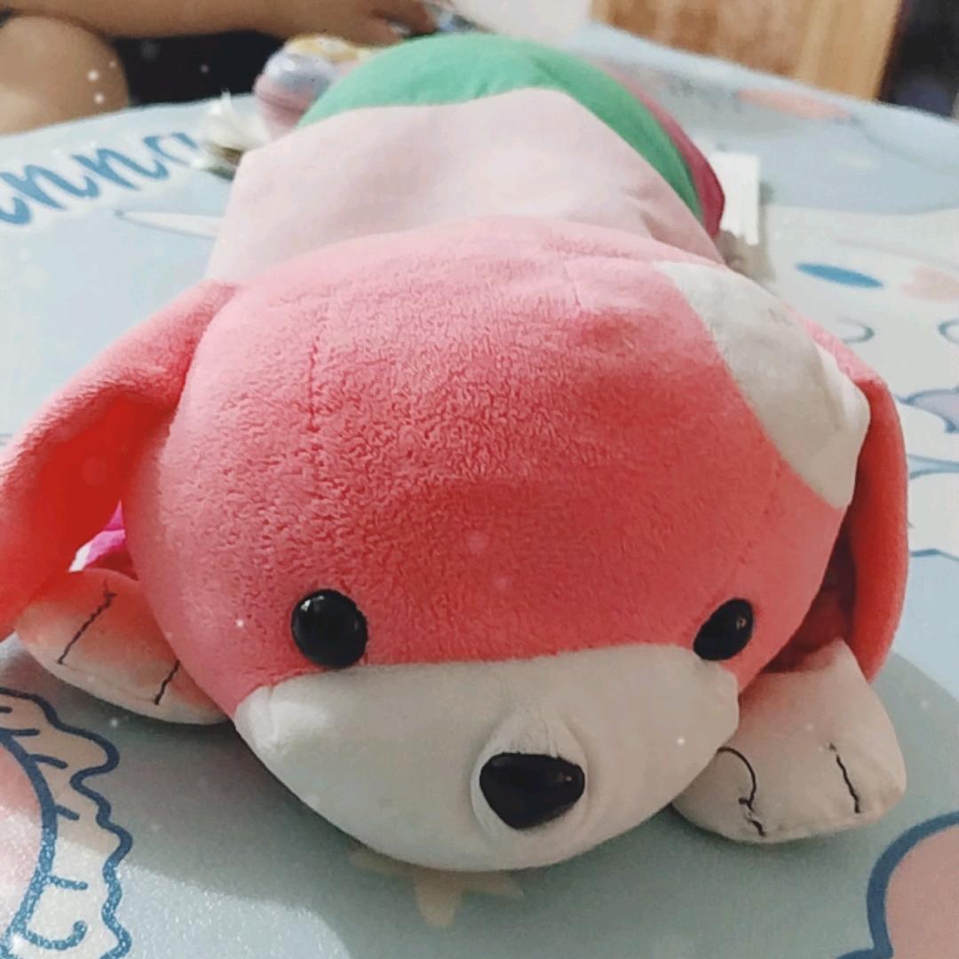 快乐大本营