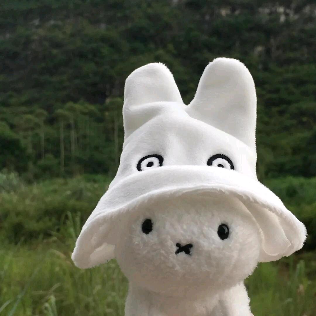 迟遇ᥫᩣ