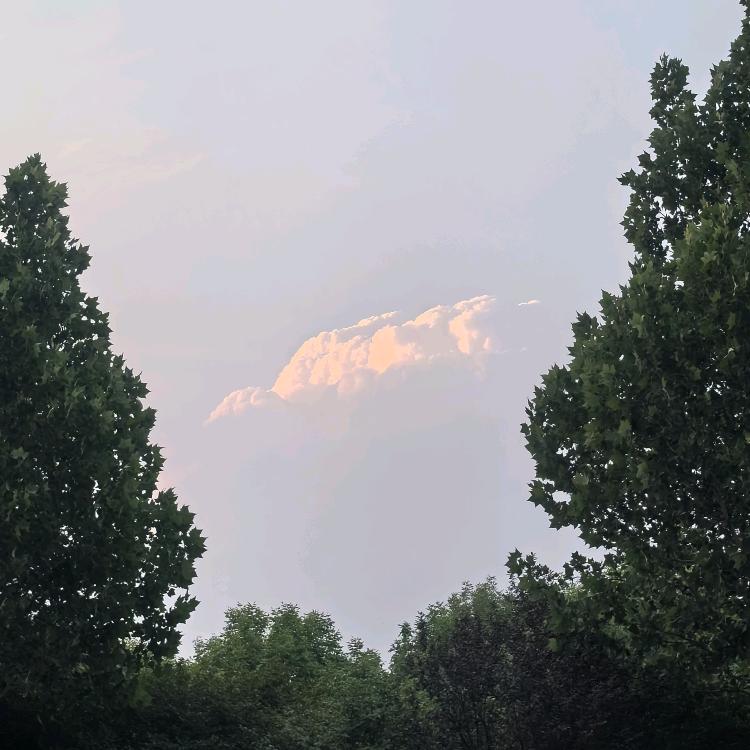 (老墨)大健康养生流量拓客