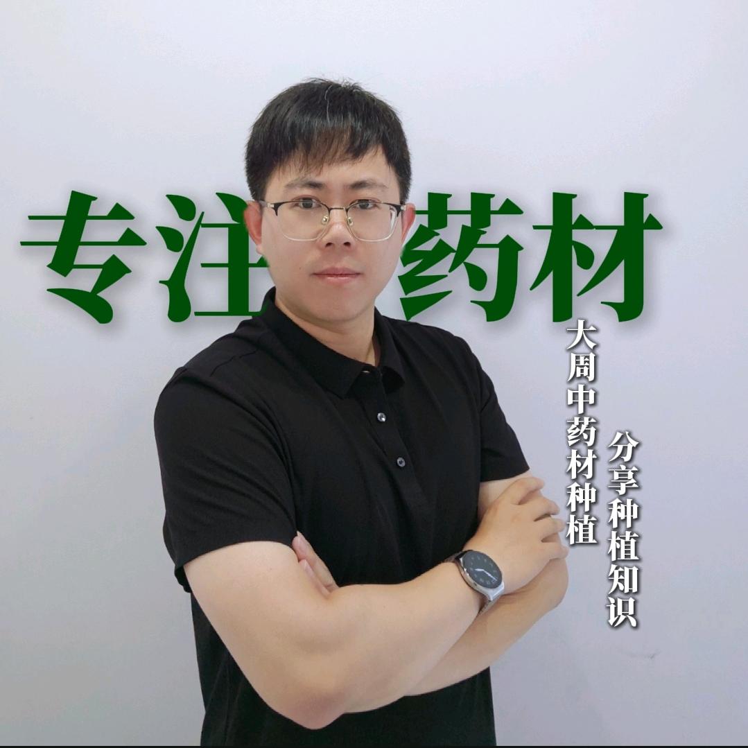 大周中药材种植