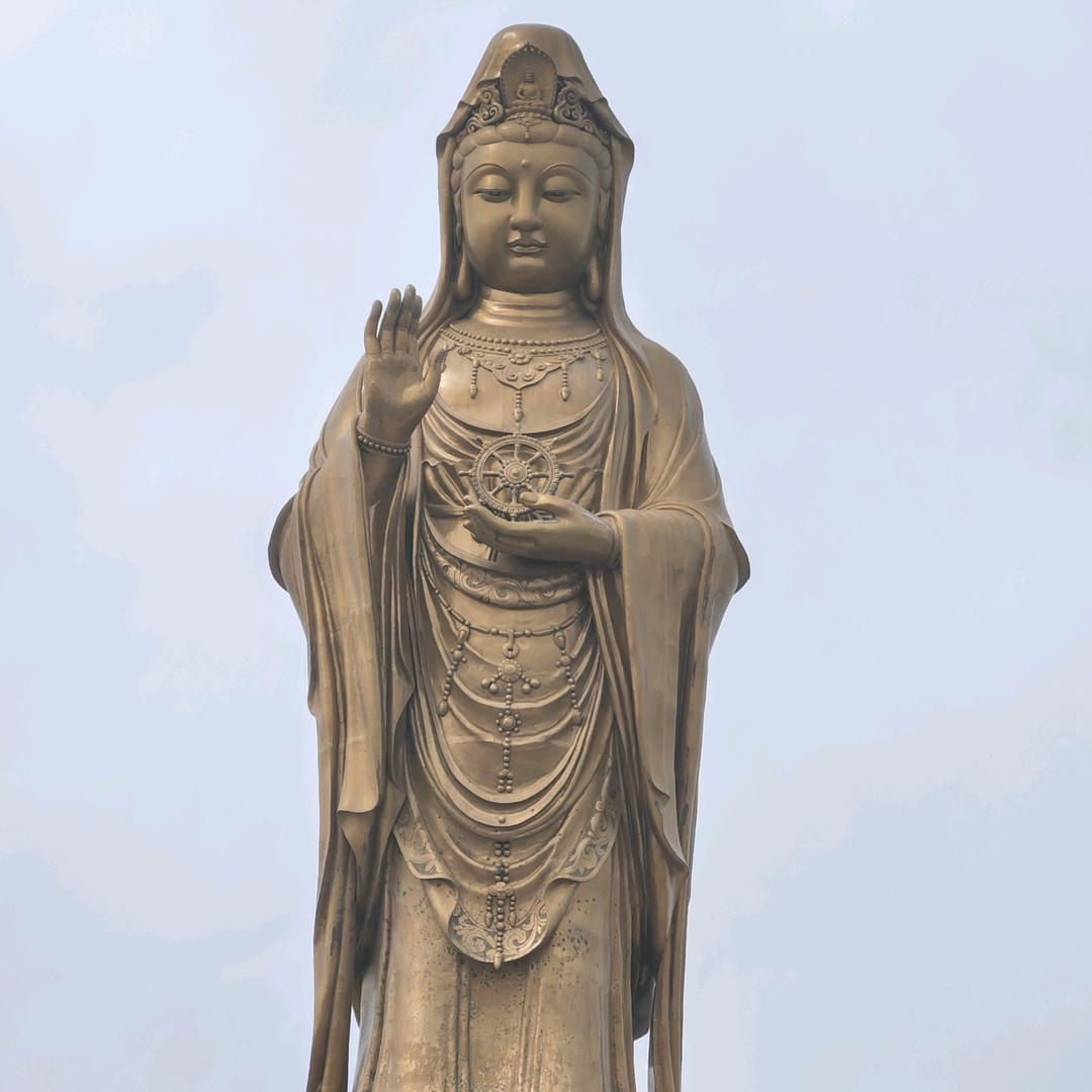 善缘阁🦊杨妹🦊