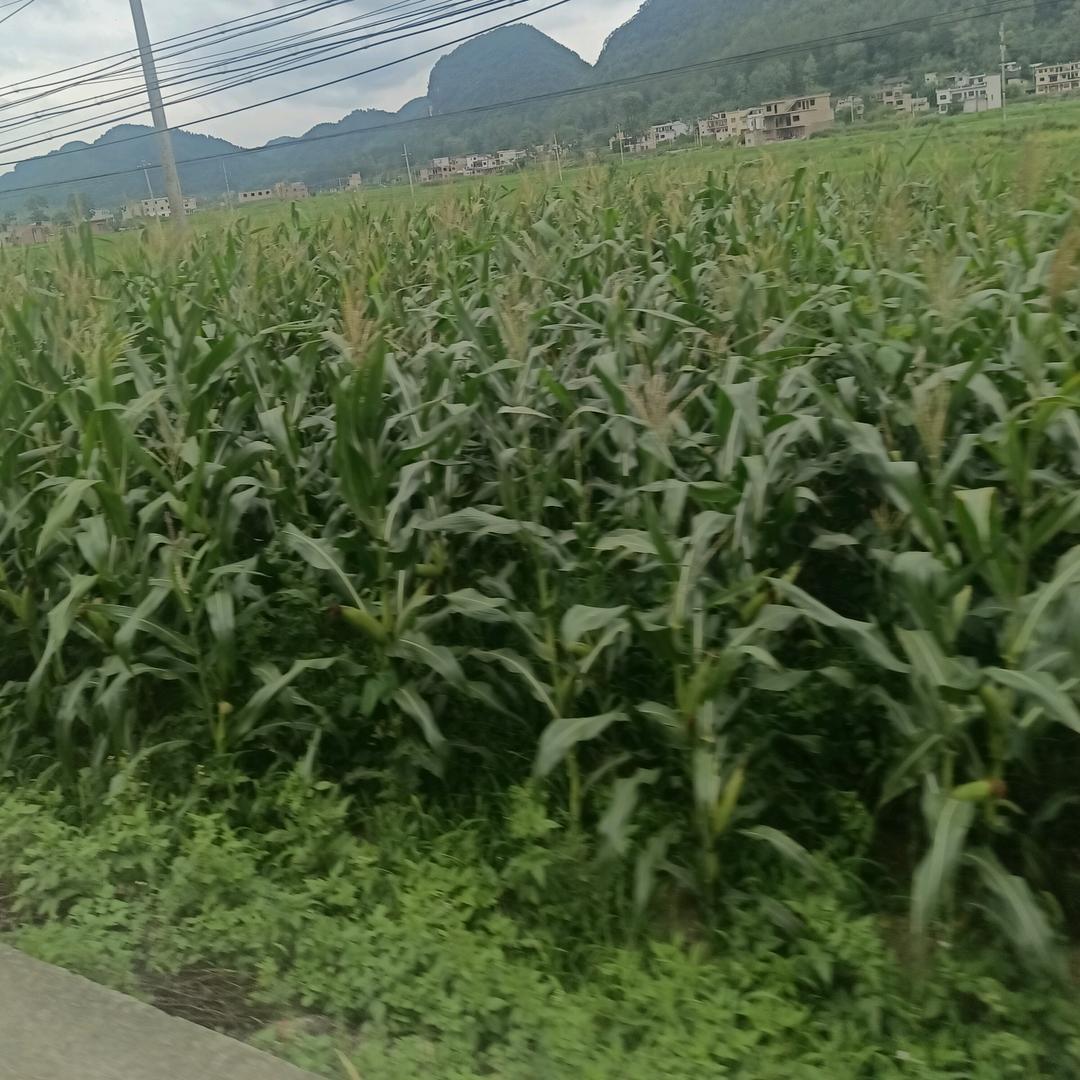 💗এ余生ᝰᩚ谋财ღᩚ