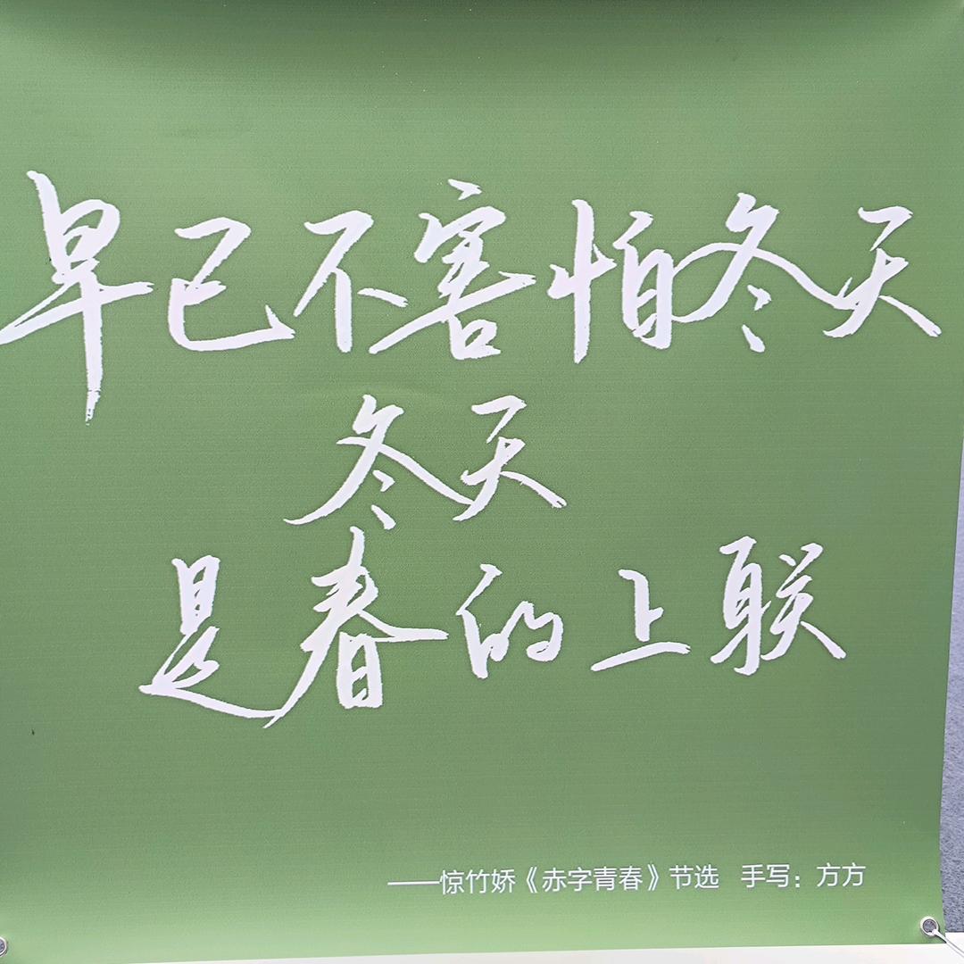 枳实