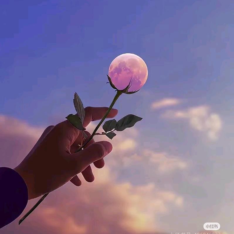 05✨