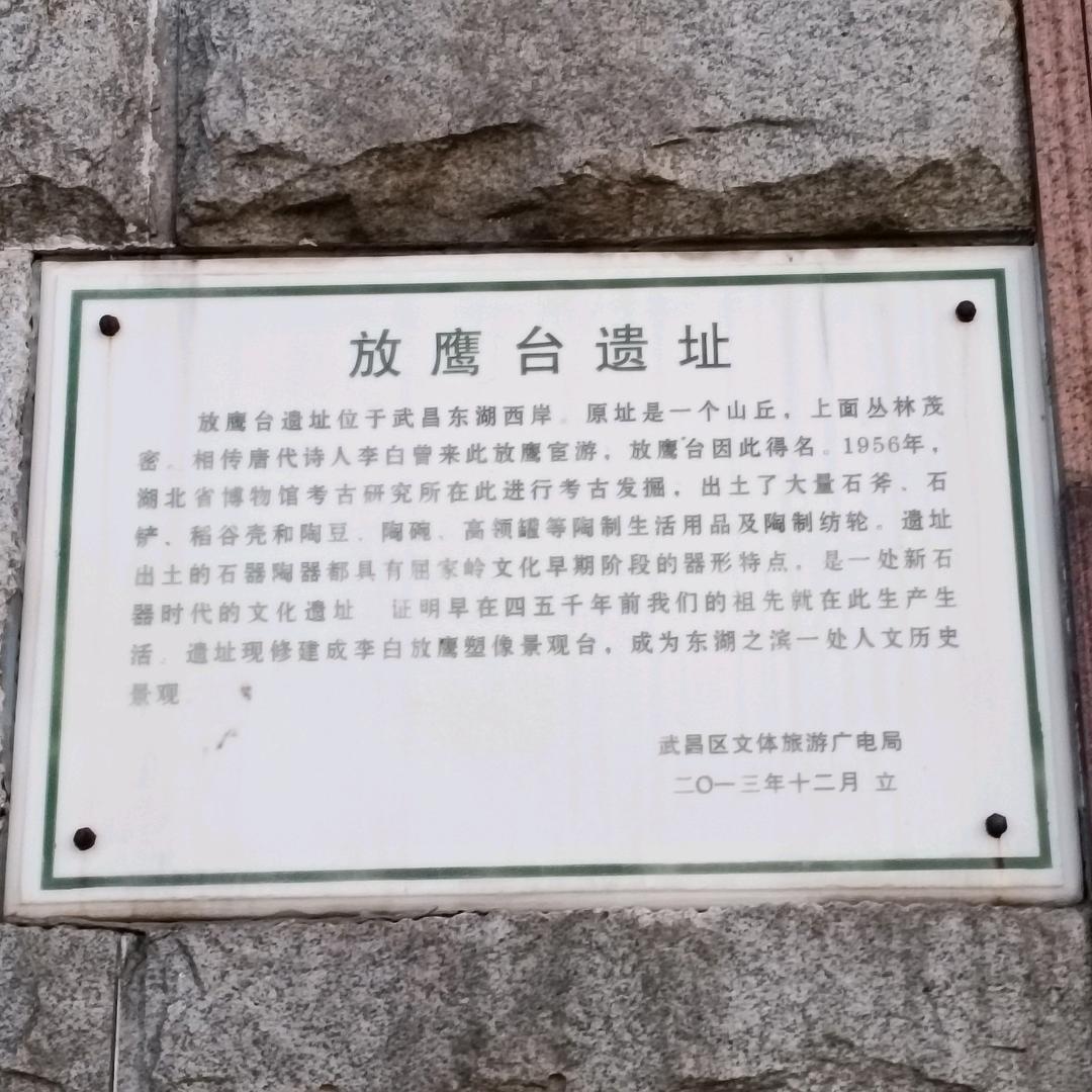￠习惯就好¢
