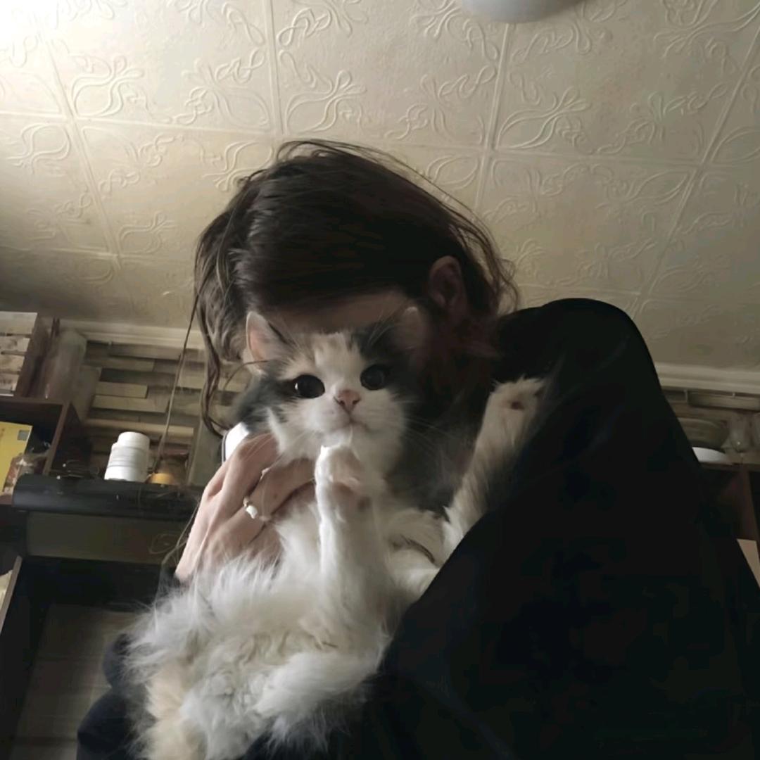 锦安