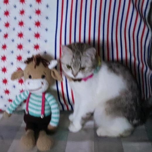 微风不燥，阳光正好