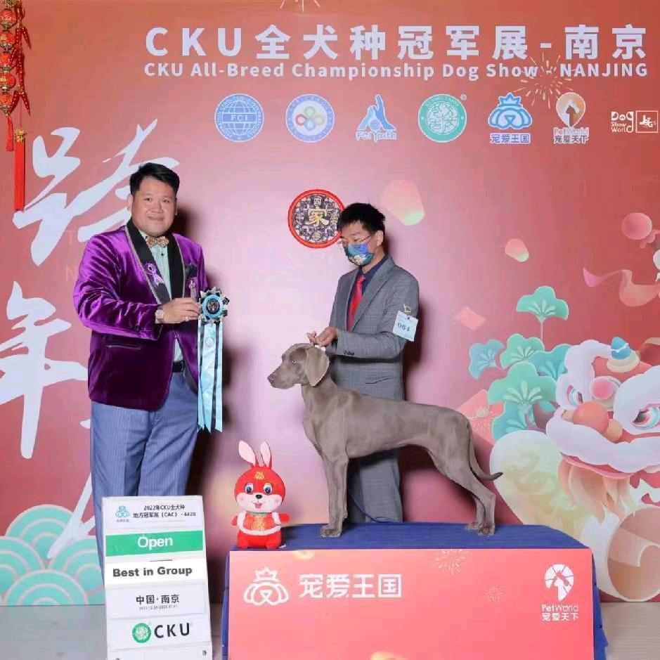 魏玛天地犬舍