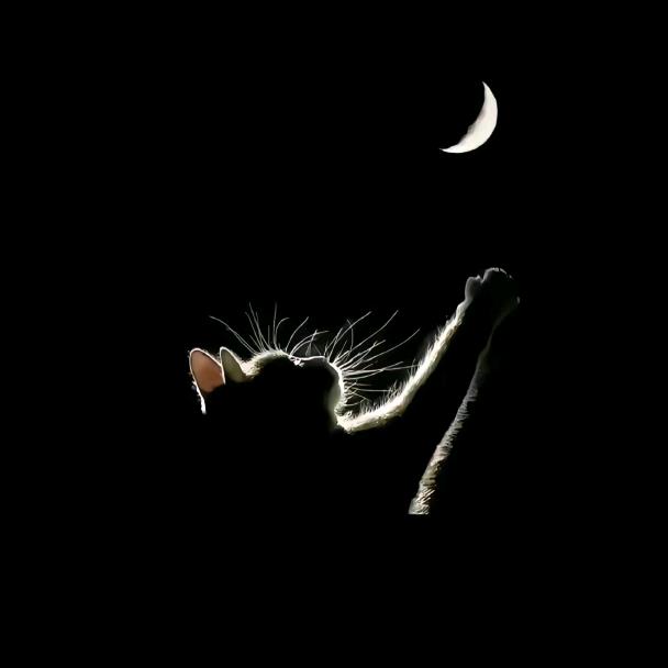 我在大坝捡垃圾