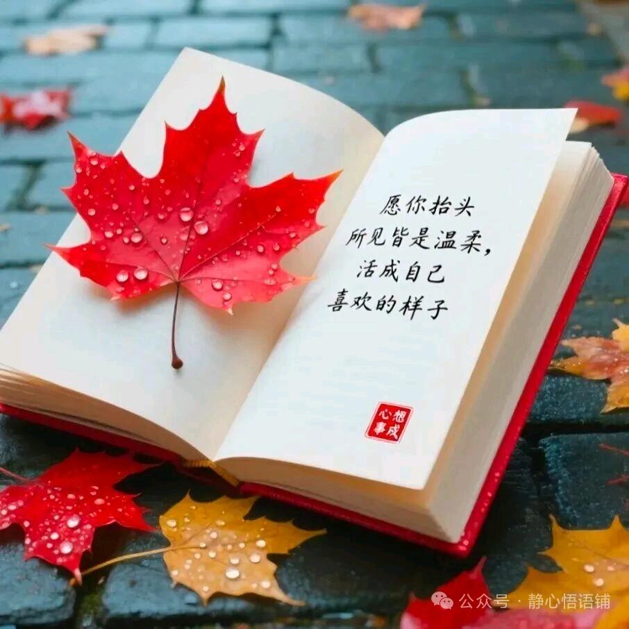 某某人