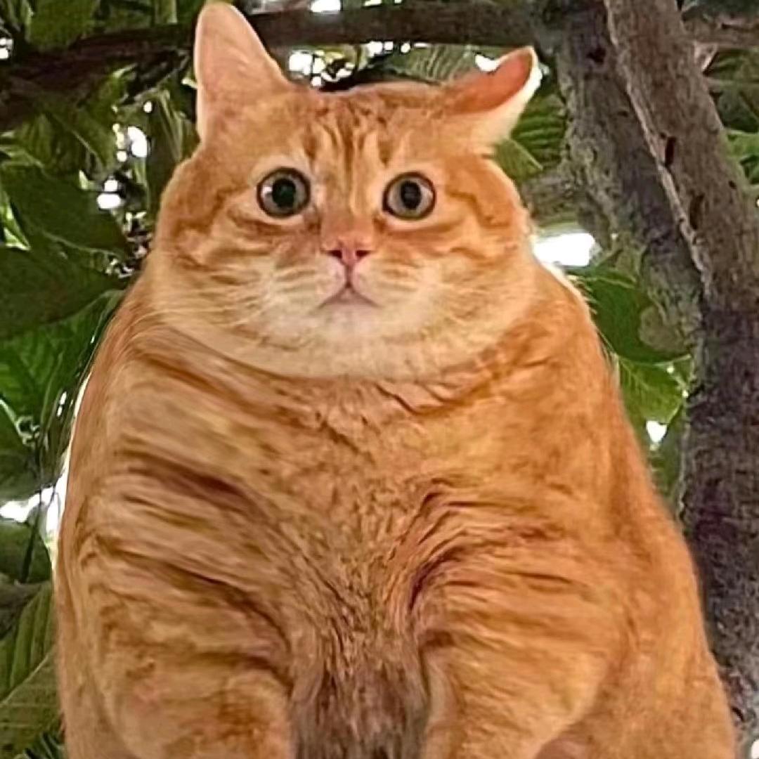 起