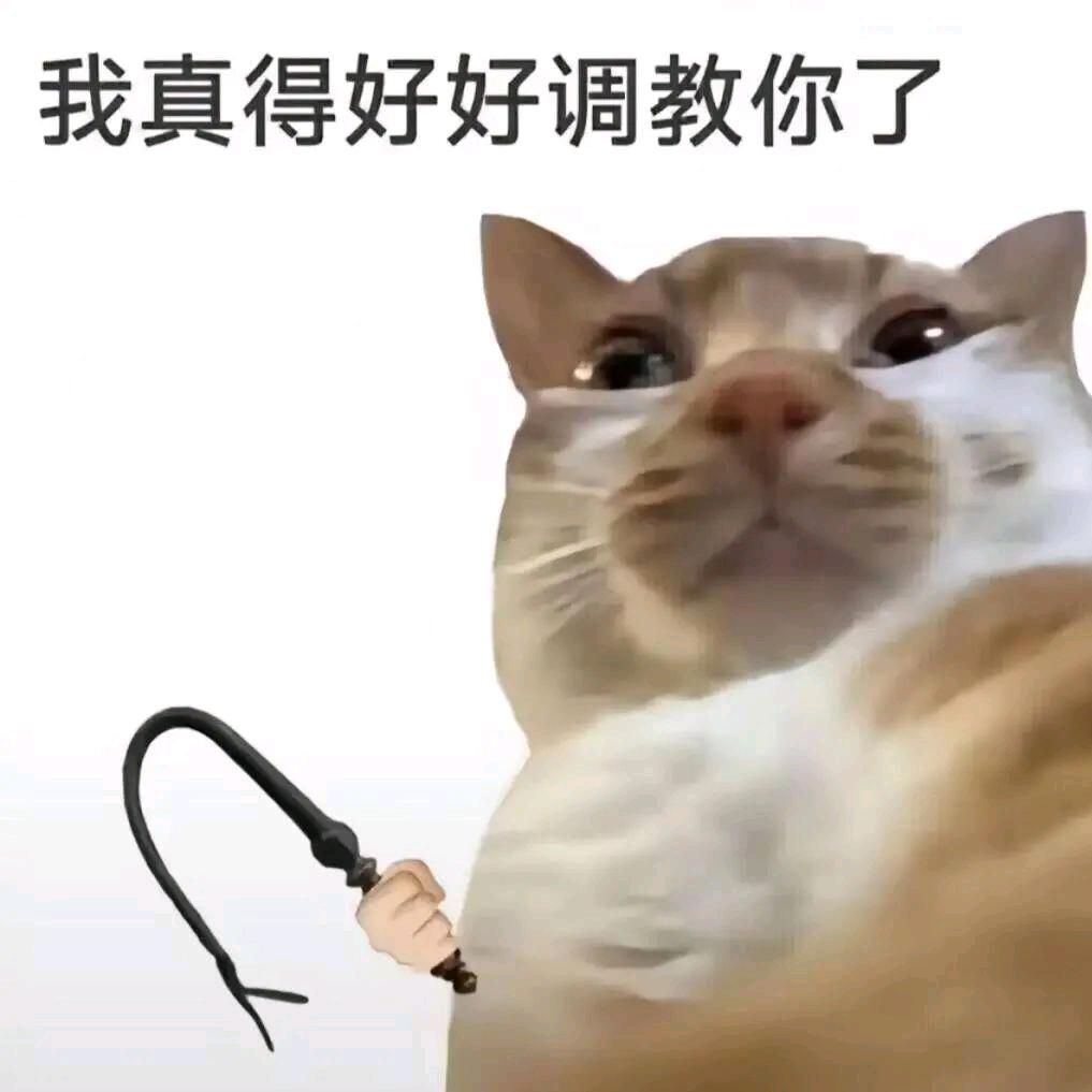 过少萝🚪被骗8888