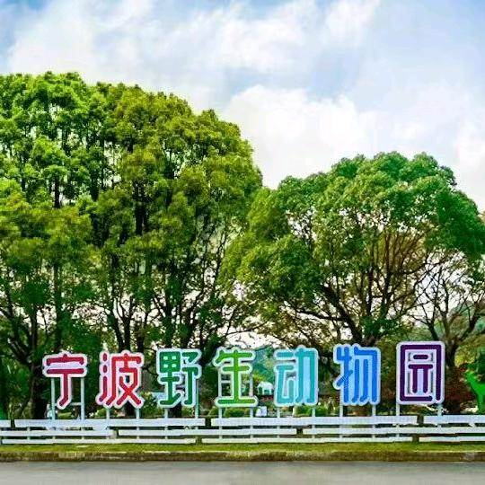 宁波团购