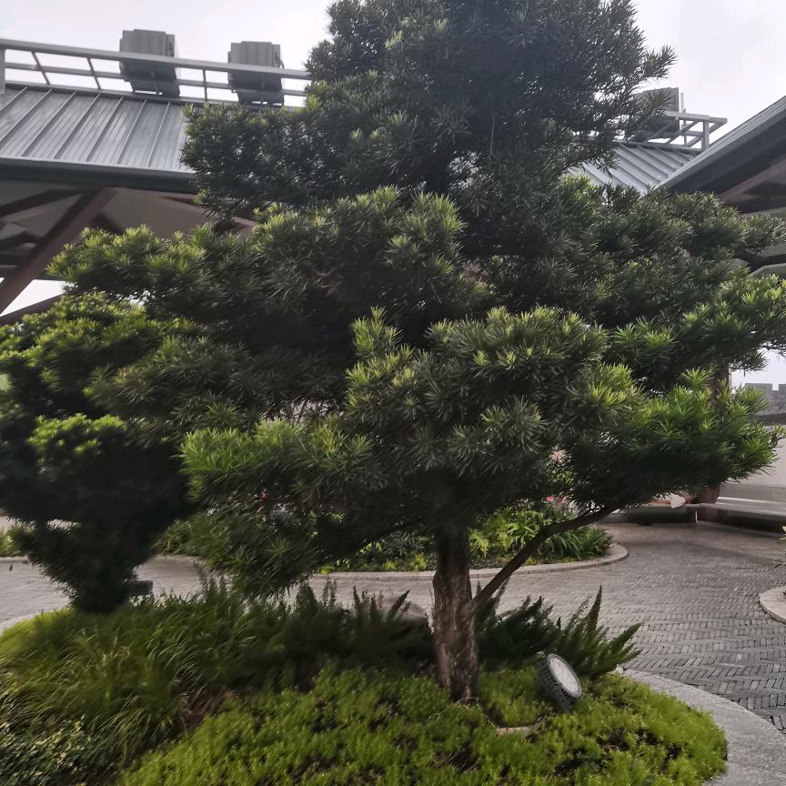 @李四..