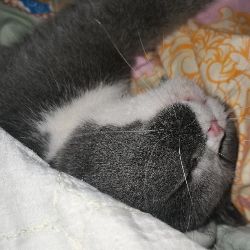 阿箬箬箬箬箬箬