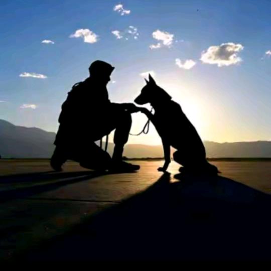 🇨🇳Raininthewind🎖️