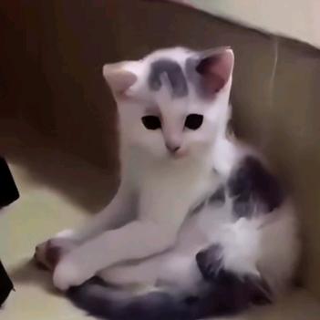好运连连