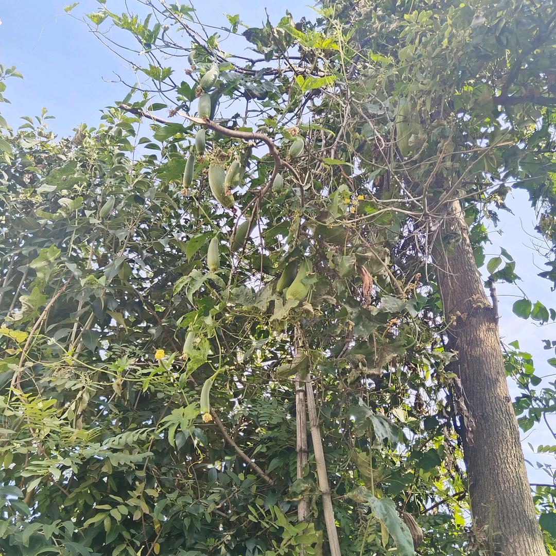 🌈半寸时光🍀