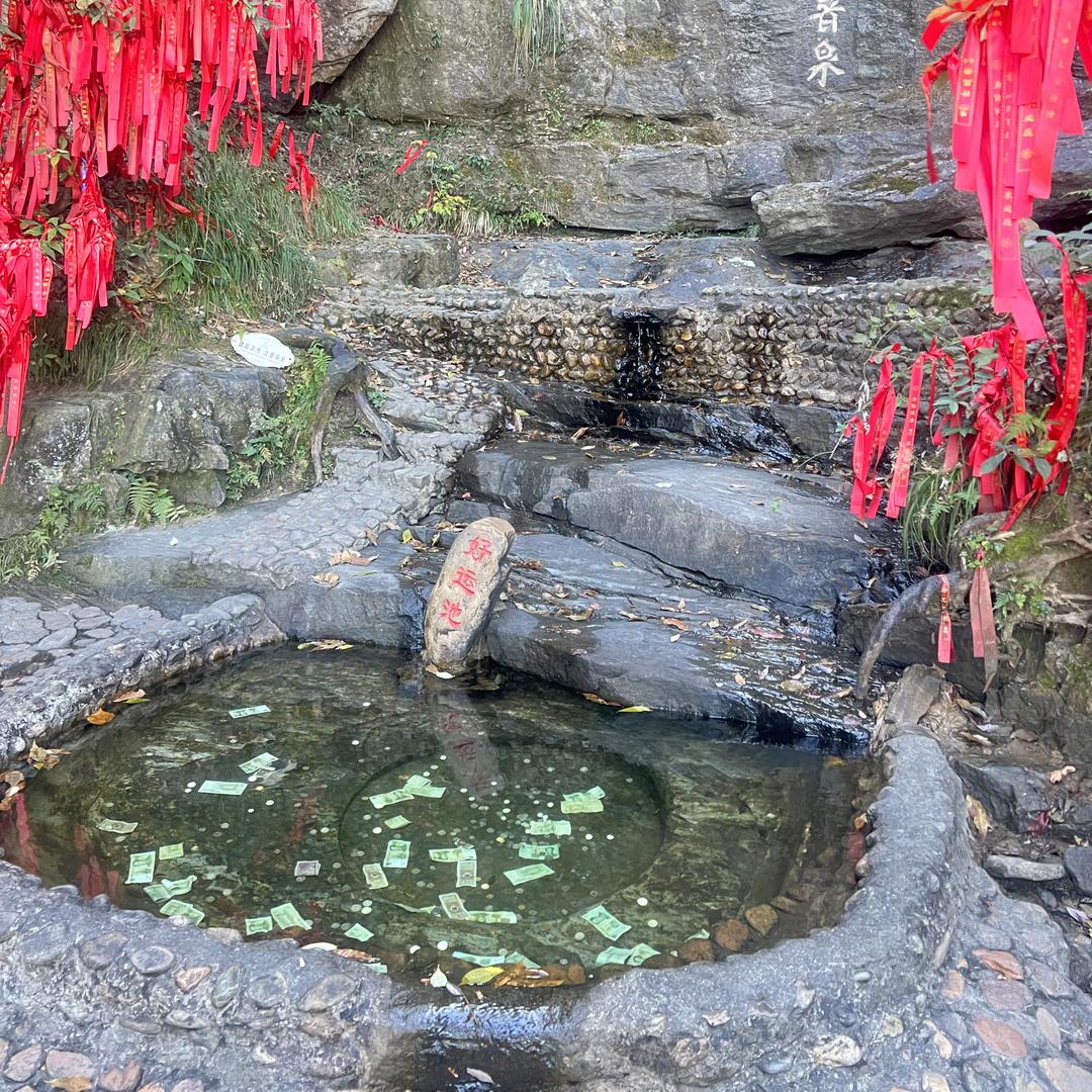 清风过客
