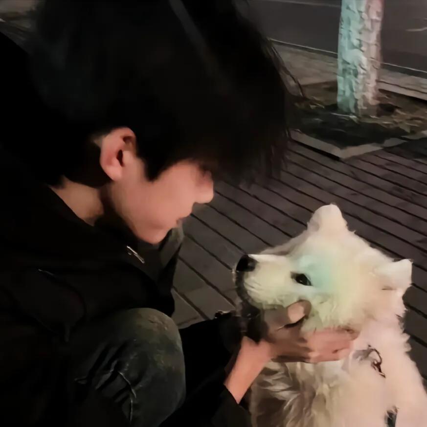 不会再像从前那样了