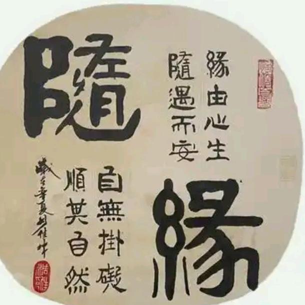 梦鑫圆