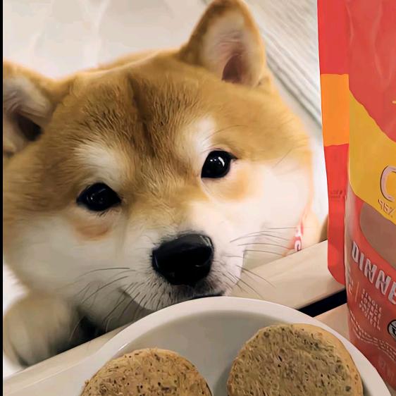 钓鱼，钓鱼，钓鱼！