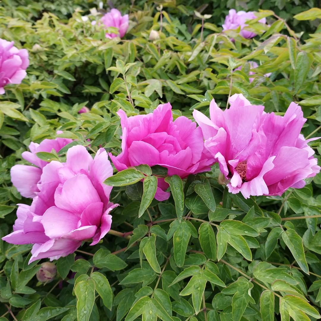平凡人生