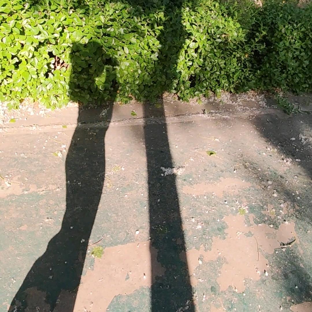 月芽儿