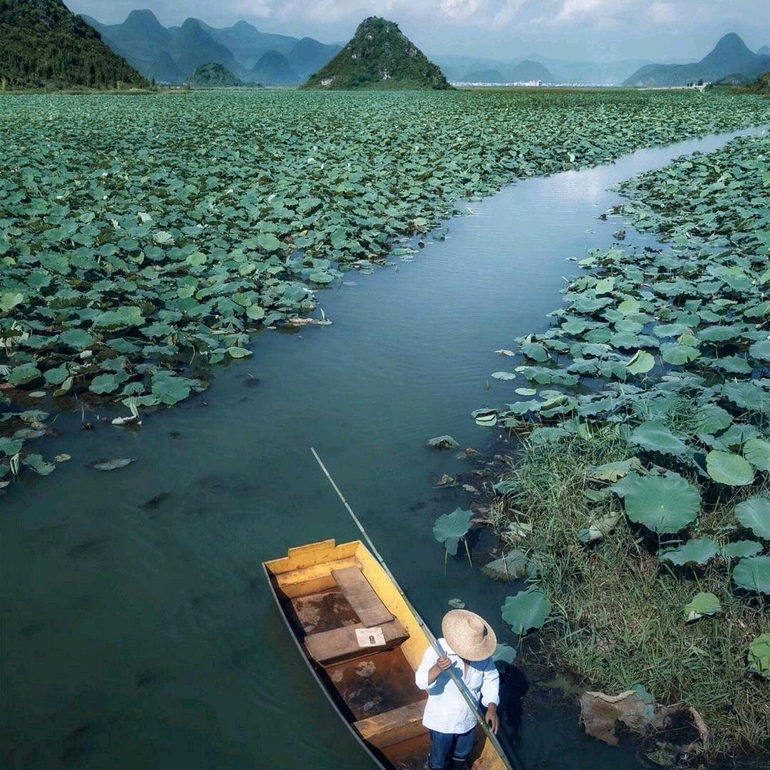 花间一壶酒