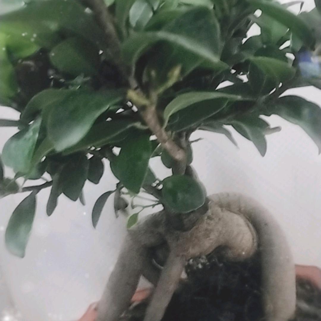 〇一〇