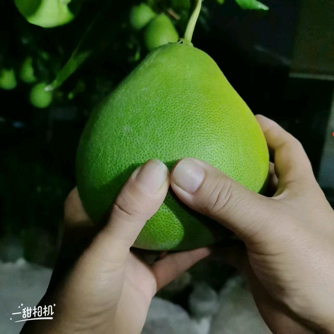 余生有你