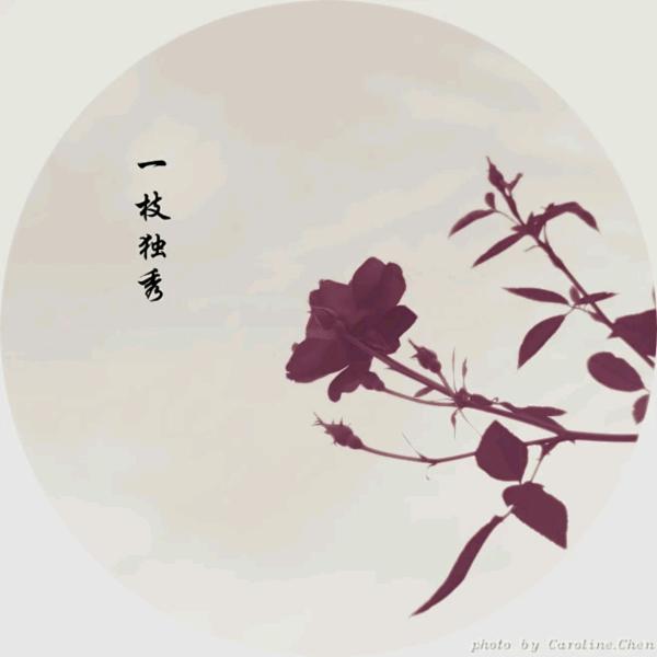 一枝独秀