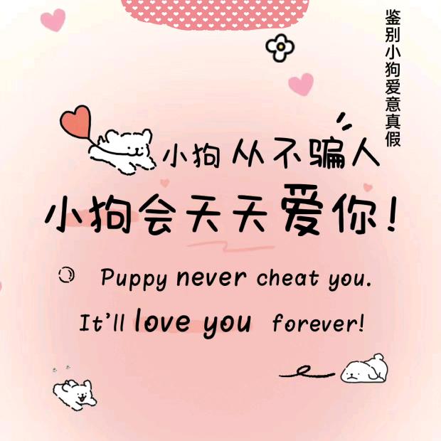 丫❤️头
