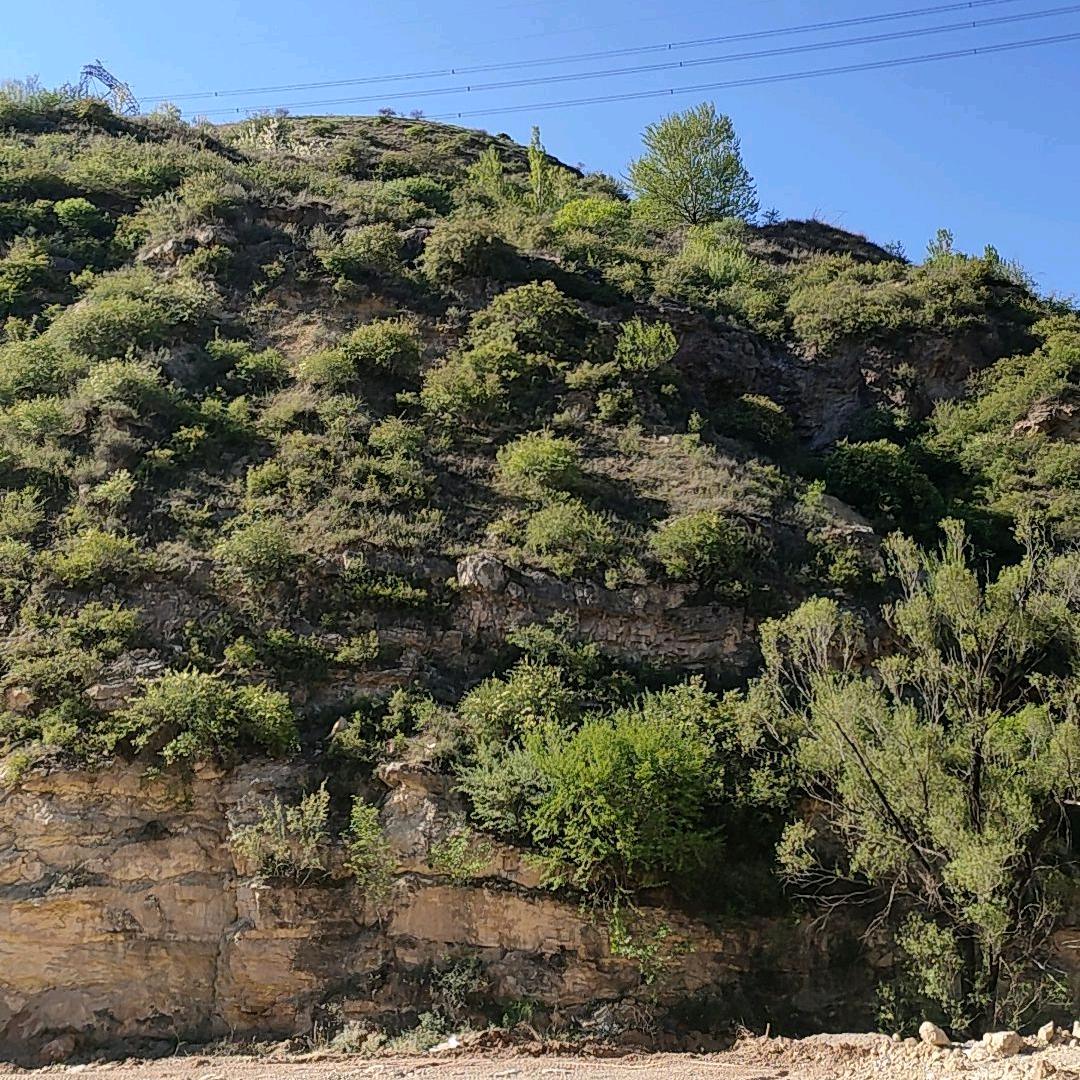 曼星和超级洗车店自助24H