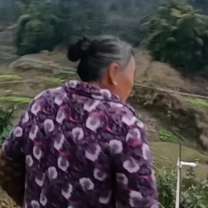 毅哥