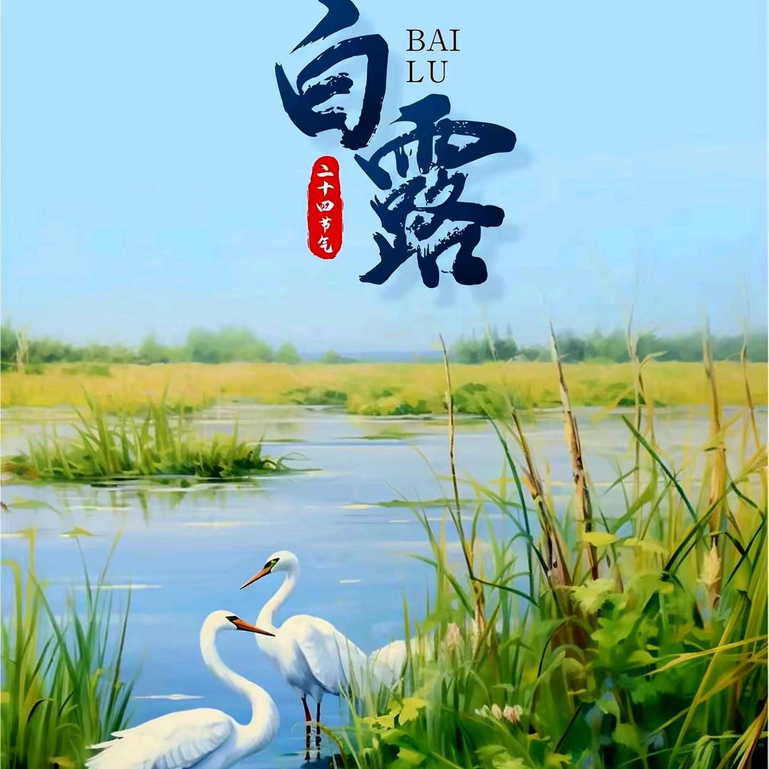 白露为霜
