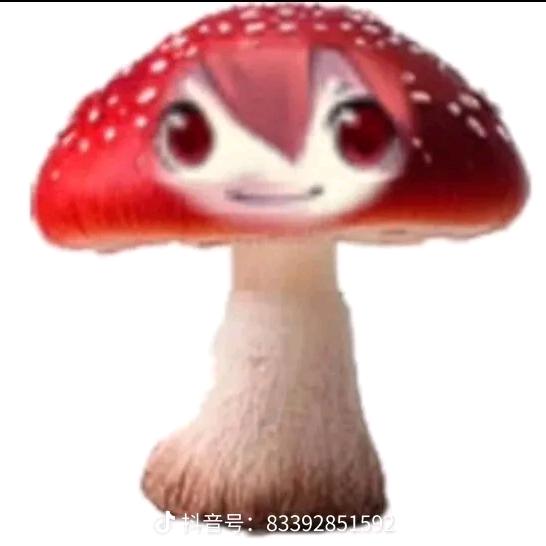 小鸡果麻袋😡头像