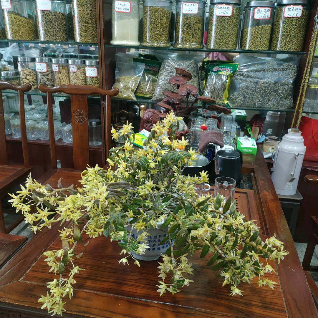 天堂寨儲信茶叶特产