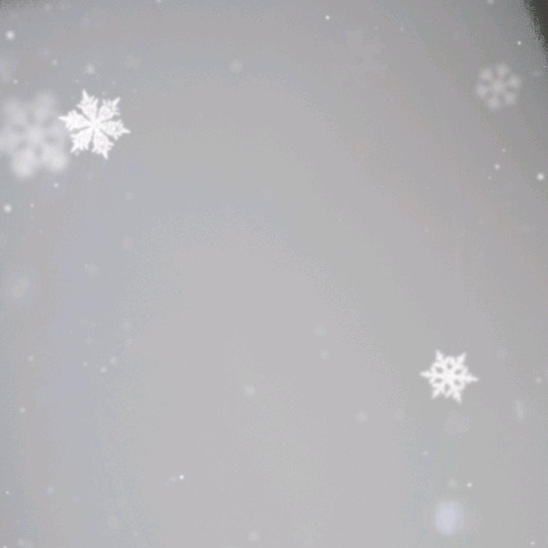 不离不弃