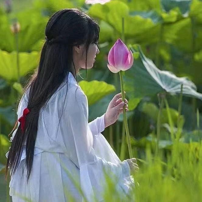 冰水清茶