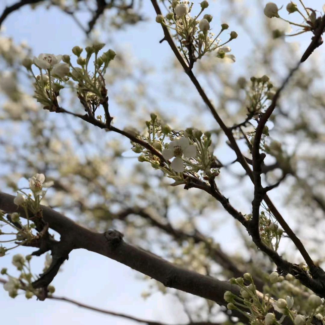 🏓🏓🏓🏓简单🏓🏓🏓🏓