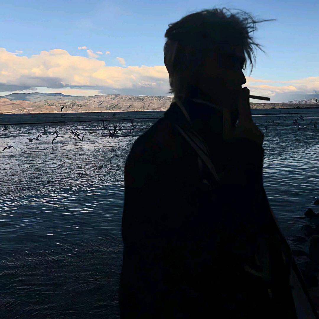 梵高笔下的向日葵