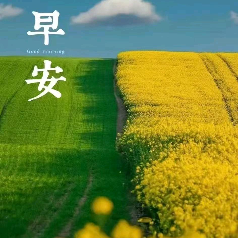 忍无可忍