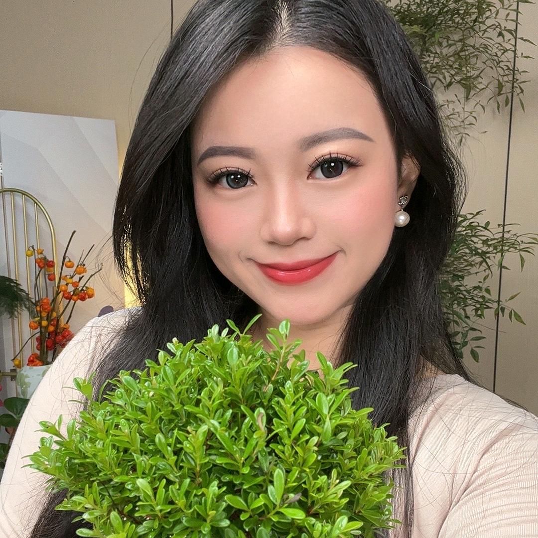 东南花姐（精品桌面盆景）