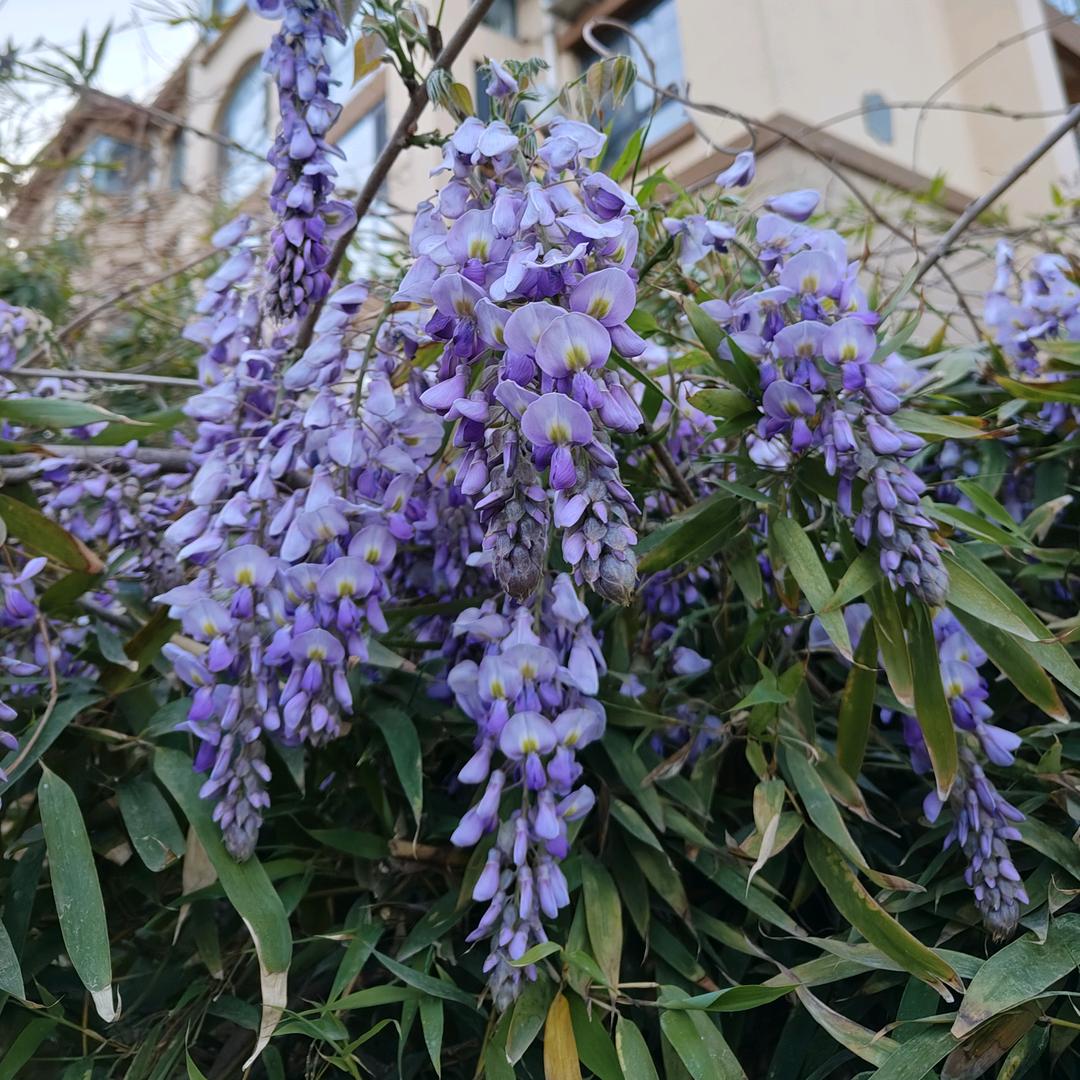 风雨彩虹