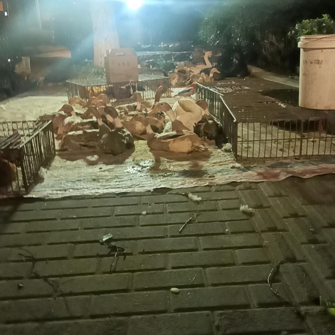马路边的我