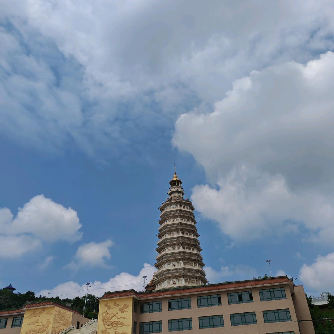 李从领2-8-12点