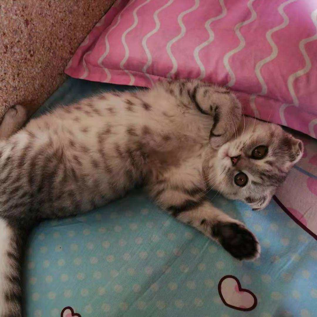 波妞！
