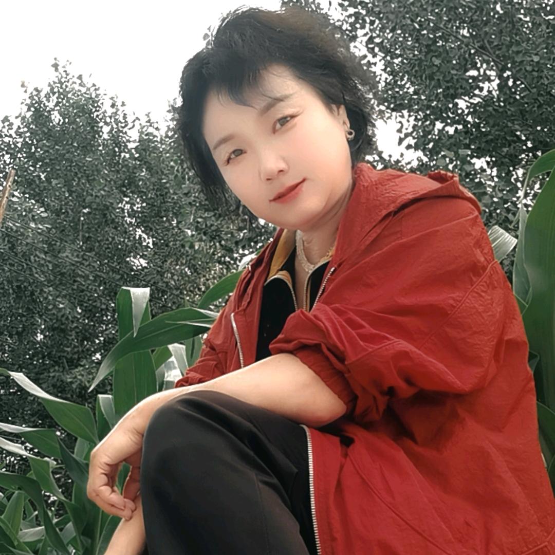 🍃美丽的百合花🌸